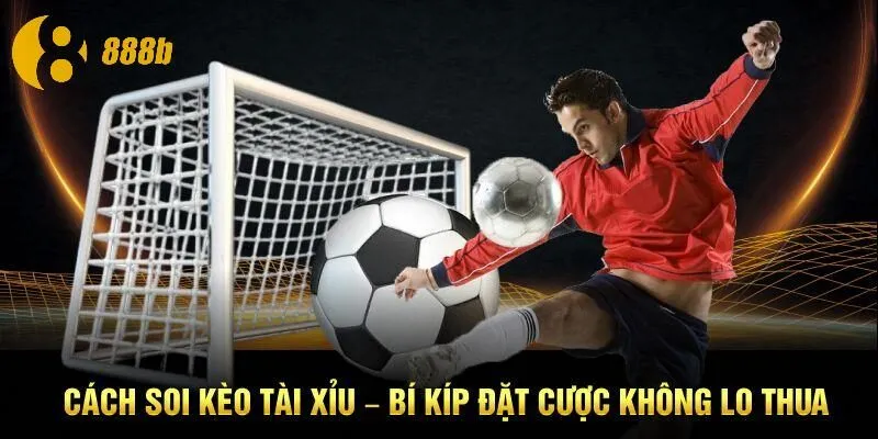 Cách Soi Kèo Tài Xỉu – Bí Kíp Đặt Cược Không Lo Thua