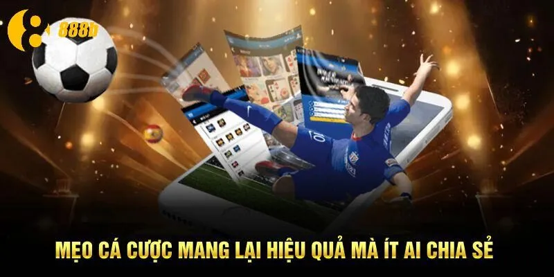 Mẹo cá cược mang lại hiệu quả mà ít ai chia sẻ