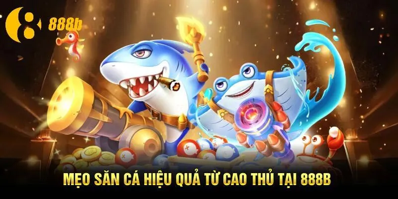 Mẹo săn cá hiệu quả từ cao thủ tại 888B